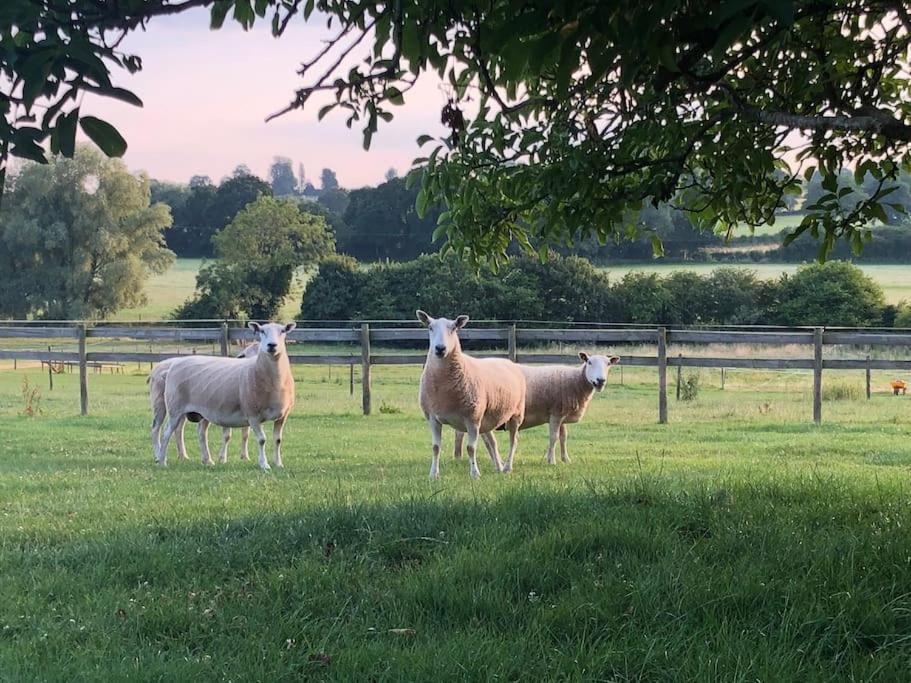 Coach House - Detached Cottage Within 135 Acres Bromyard Bagian luar foto